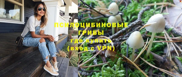 бошки Елабуга