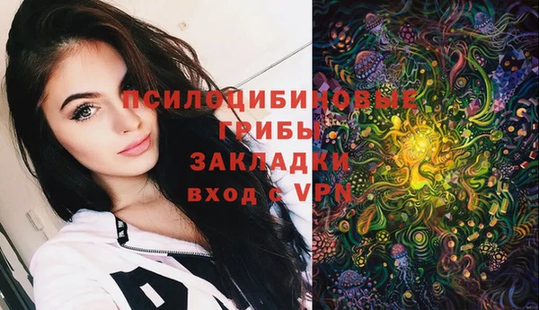круглые Алексеевка