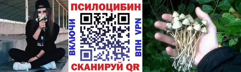 мориарти телеграм  Жирновск  MEGA зеркало  Псилоцибиновые грибы Psilocybe  купить наркотики сайты 